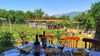 Dégustation et visite de vins au domaine viticole Ambra