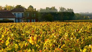 Château Anthonic