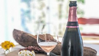 Dégustation de vins et visite à l'Azienda Agricola Pietro Torti