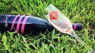 Weinprobe im Weingut Raptis