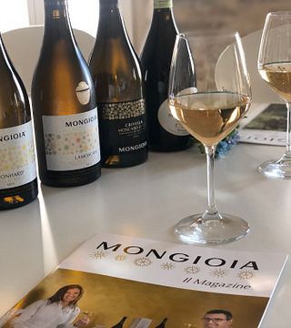 Dégustation de vins et visite à Mongioia
