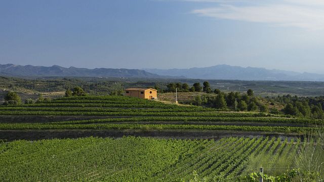 Weinprobe und Tour im Clos Galena