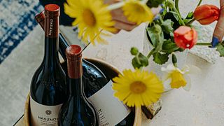 Visite et dégustation de vins à la cave Zsadányi 