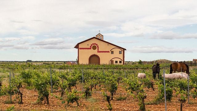 El Sueño De Las Alforjas