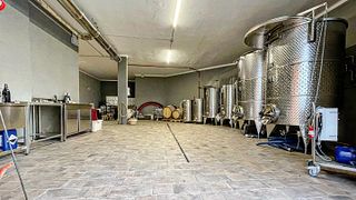 Weinprobe und Tour in der Azienda Agricola Simone Cerruti