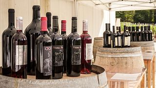 Enjoy Truffles & Sangiovese Wines  in Chianti