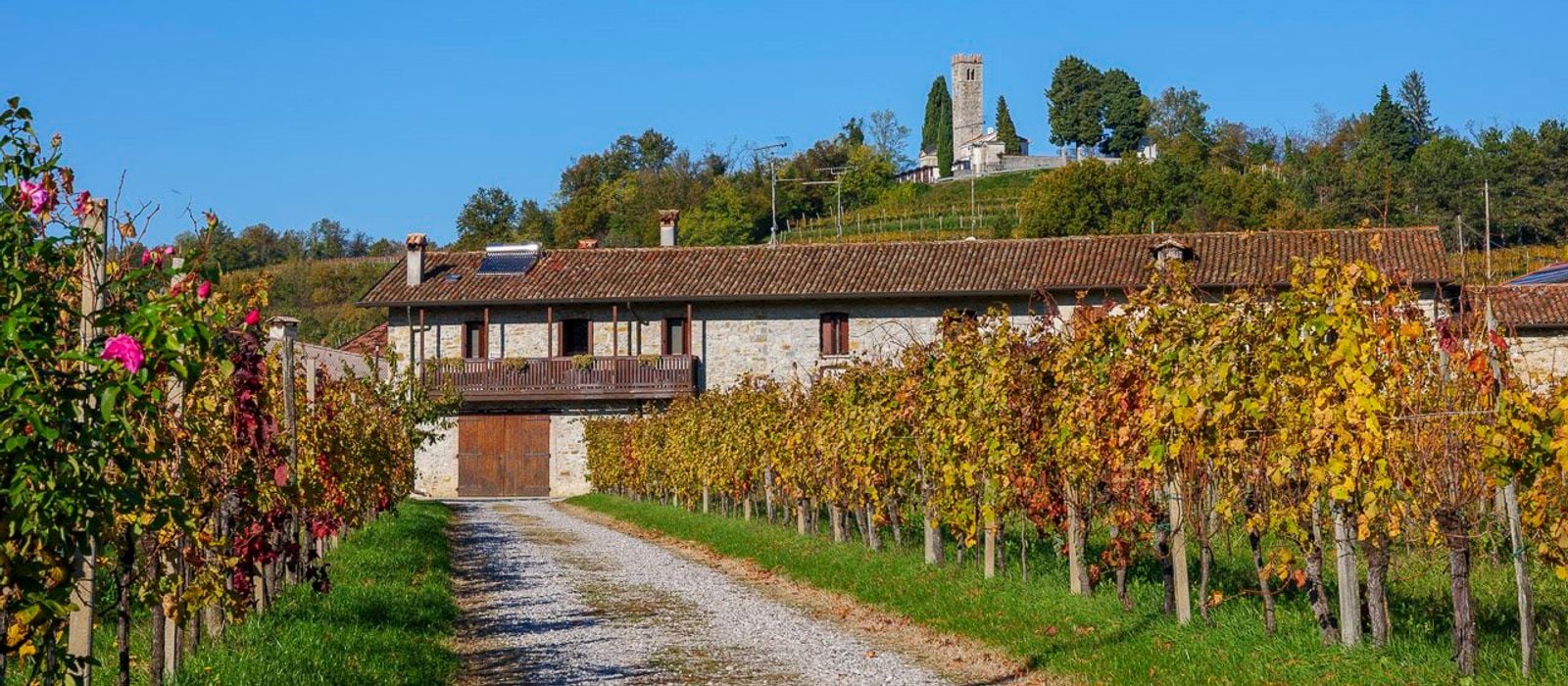 Cantine-aperte-san-martino Intro