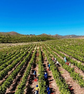 PaardenKloof Estate: A Hidden Gem in South Africa