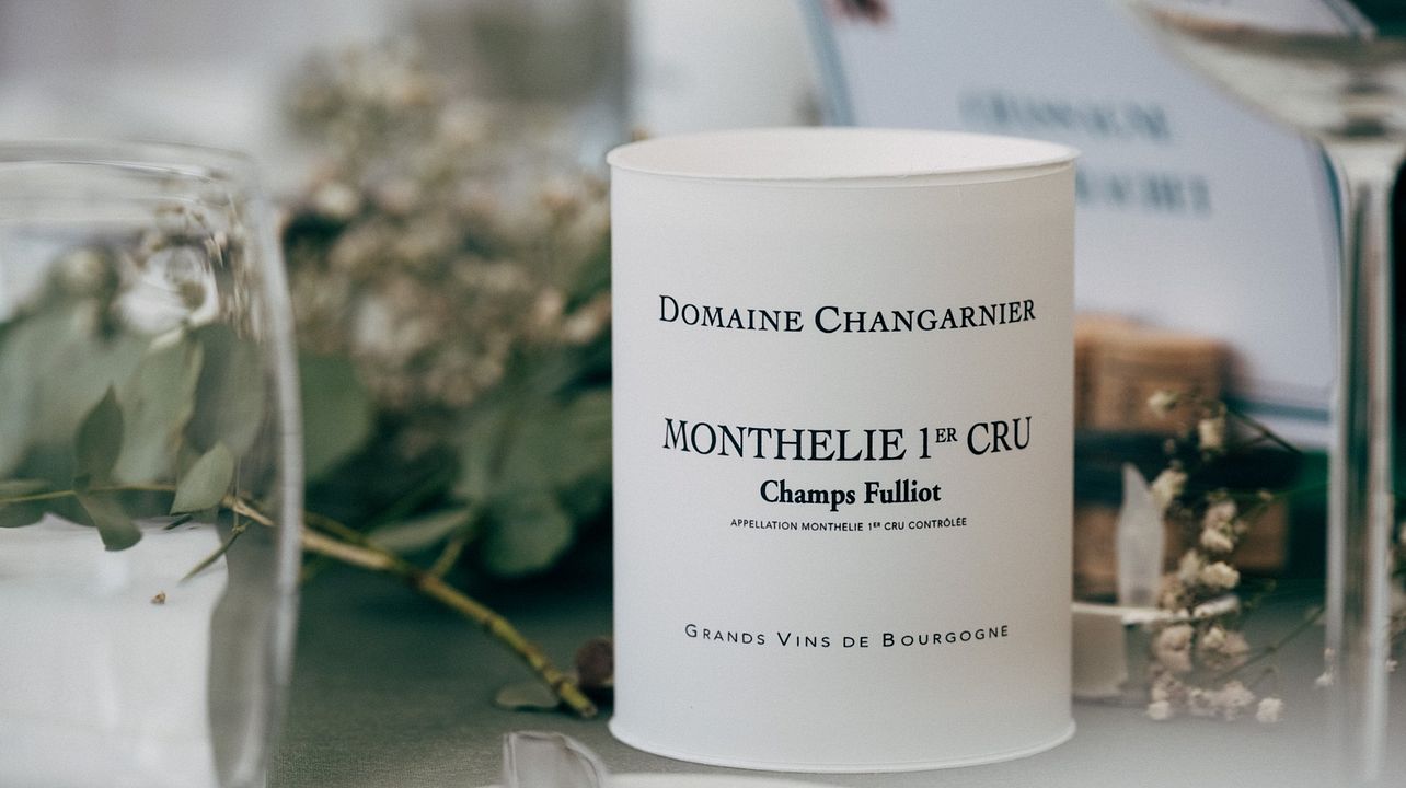 Degustazione di vini e visita al Domaine Changarnier