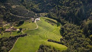Alta Orsa Winery