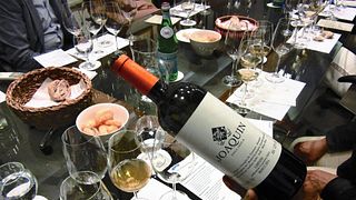 Joaquin Weintour und Weinprobe