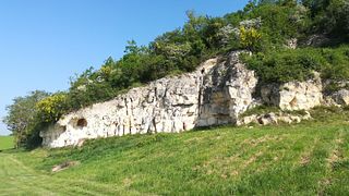 Normandy Terroir & Vineyard Tour at Arpents Du Soleil