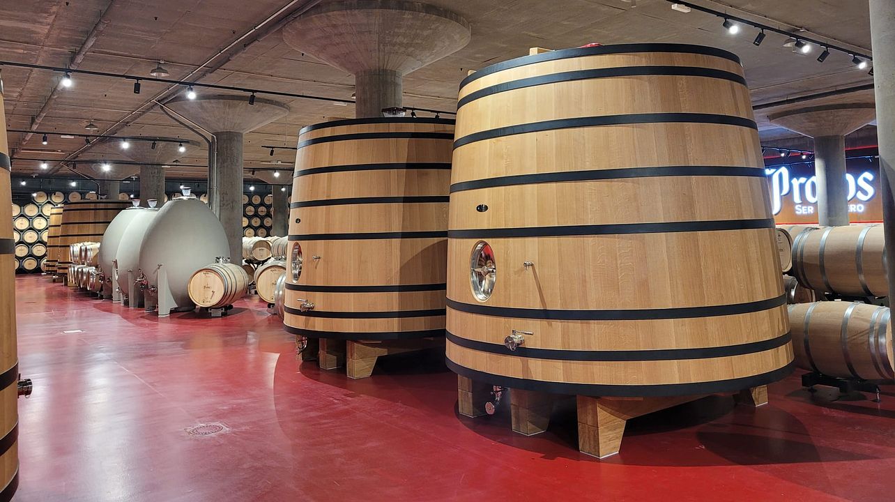 Tour Privado 3 Vinícolas Empordà saindo de Barcelona