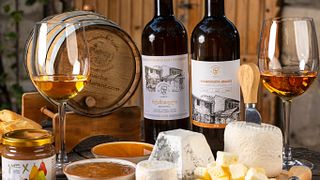Dégustation de vins avec fromages et confitures locales