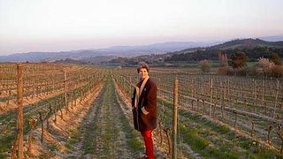 Cointes Winery