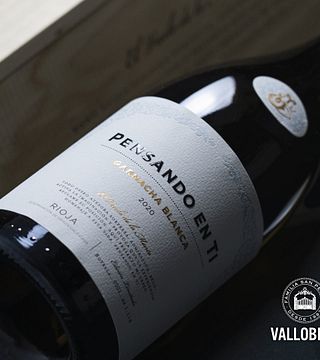 Tempranilloprovning på Bodegas Vallobera