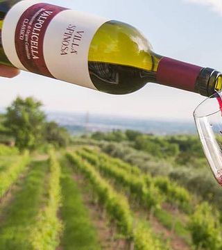 Degustazione di vini e visita a Villa Spinosa