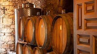 Central Greece Wine & History Tour at Montofoli