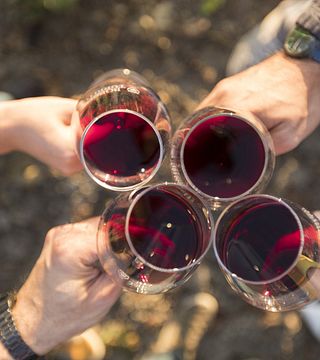 Degustazione Vini: L'uva nera di Federico II