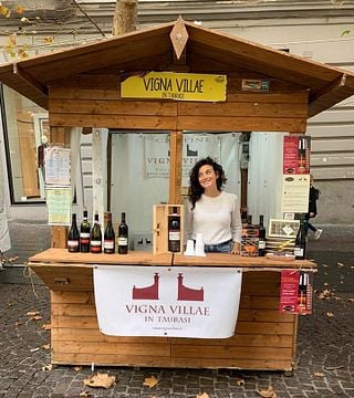 Degustação de vinhos e tour em Vigna Villae em Taurasi