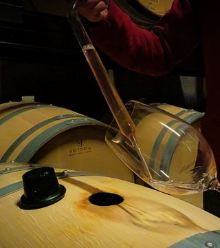 From Porto: Douro Valley Small Group Tour with Wine Tastings, Lunch and River Cruise 