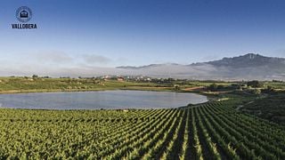 Visita y Cata de Vinos en Bodegas Vallobera
