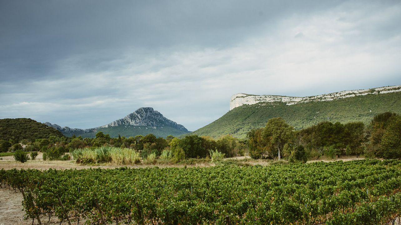 Ruta gastronómica y vinícola en el Pic Saint Loup 