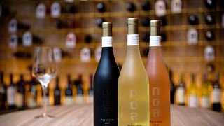 Vigneti e cantina NOA