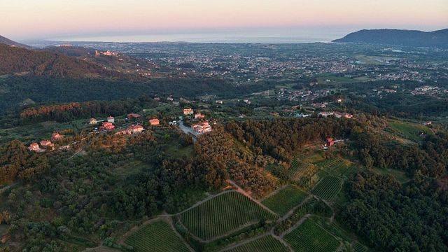 Degustação de vinhos populares e tour emI Pilastri