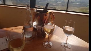 Visite des vignobles de la famille Newton Johnson