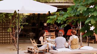 Wine Picnic at Terra Remota in Catalonia