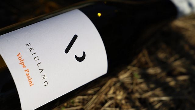 Friuli-Venezia Giulia: Volpe Pasini Wine & Vineyard Journey