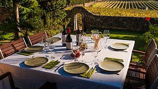 Experiência de Vinhos Penedes