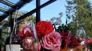 Dégustation et visite de vins au Château Vieux Landat