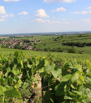 Domaine Coste-Caumartin