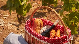Patricius Tokaji Winetasting & Picnic