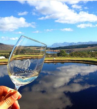 Degustação de vinhos e tour em Sumaridge Estates