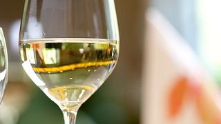 Mosel Wine Journey: Taste & Terroir at Weingut von Beulwitz