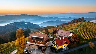 Winery Adam-Lieleg