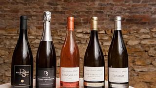 Vinprovning och rundtur på Vignoble Angst