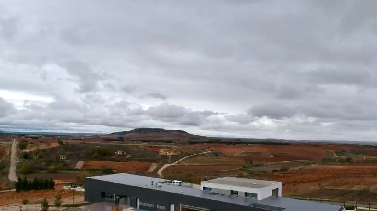 Bodegas Rodero: A Legacy of Winemaking