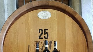 Explore Tuscany: Vineyard Tour & Local Bites