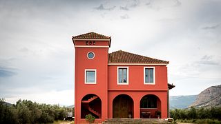 Dégustation de vins et visite de la cave Koroniotis