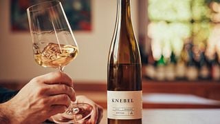 Degustazione di vini presso VDP Weingut Knebel