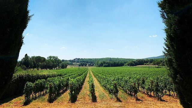 Degustazione di vini e visita al Castello Poggiarello