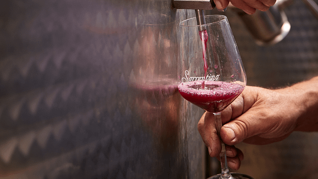 Campania Volcanic Wines & Vineyard Tour