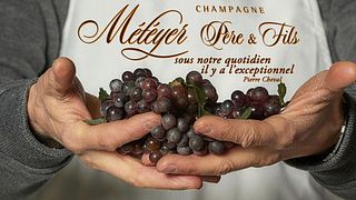 Prueba: Visita guiada y comentada. Museo, bodegas, galería de arte, degustación y mucho más.