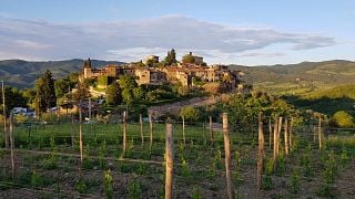 Montefioralle Winery