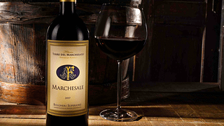 Visita con degustazione "Marchsale Retrospective" - Bolgheri