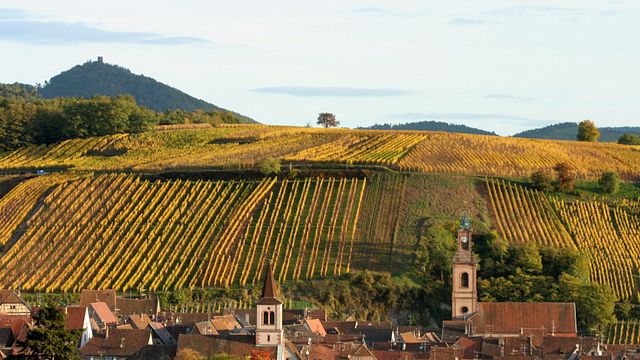 Domaine Bott-Geyl